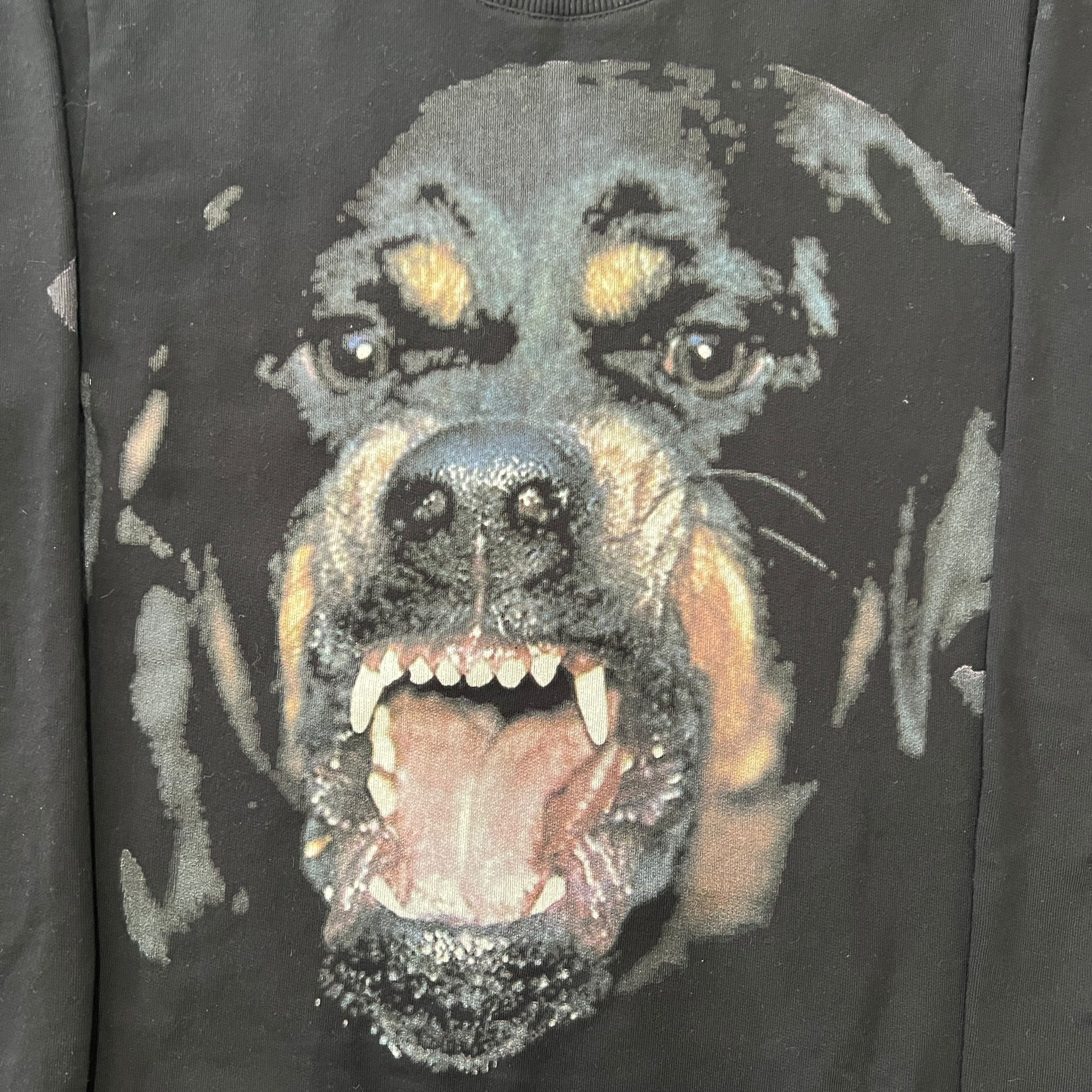 GIVENCHY 2018SS Rottweiler Crew-neck Sweat Hoodie