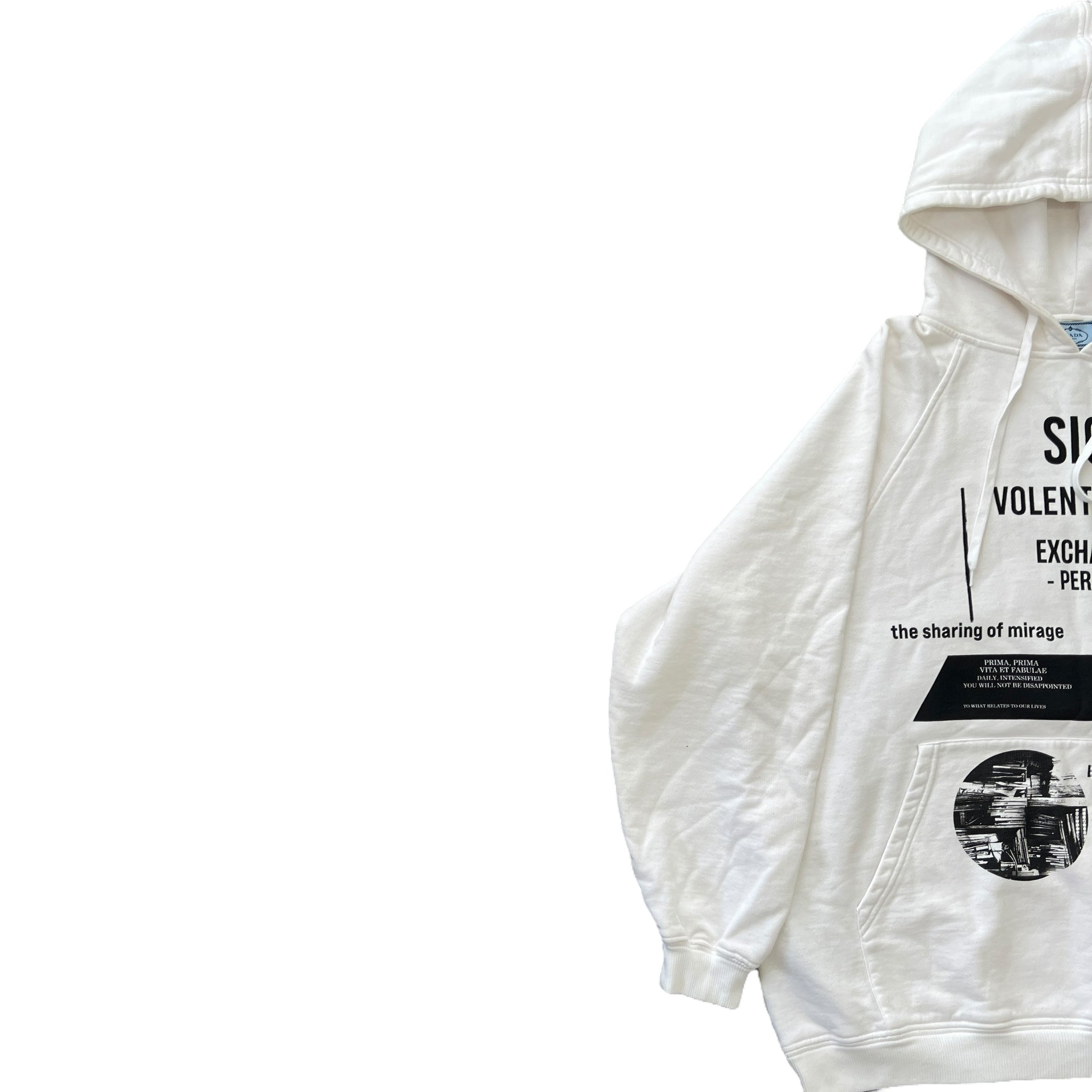 PRADA × RAF SIMONS 2021SS GRAPHIC PRINT OVERSIZED HOODIE PETER DE POTTER