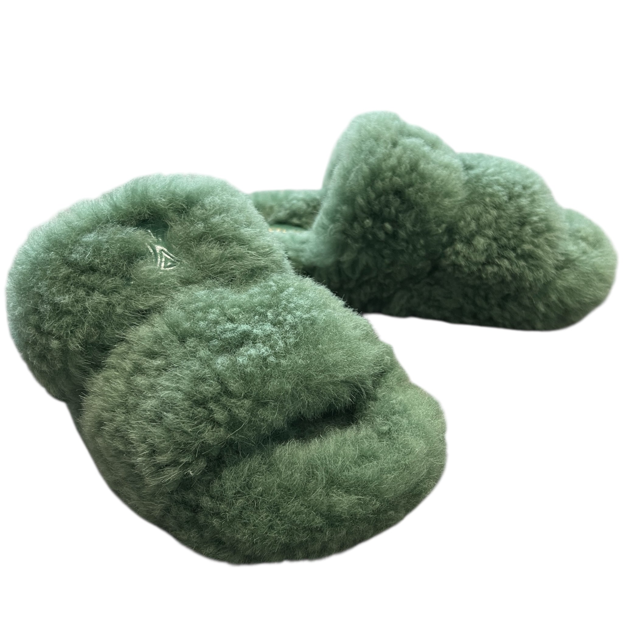 CELINE 2021SS Look7 Fur Slide Triumph Open Slide Boa Sandals Green