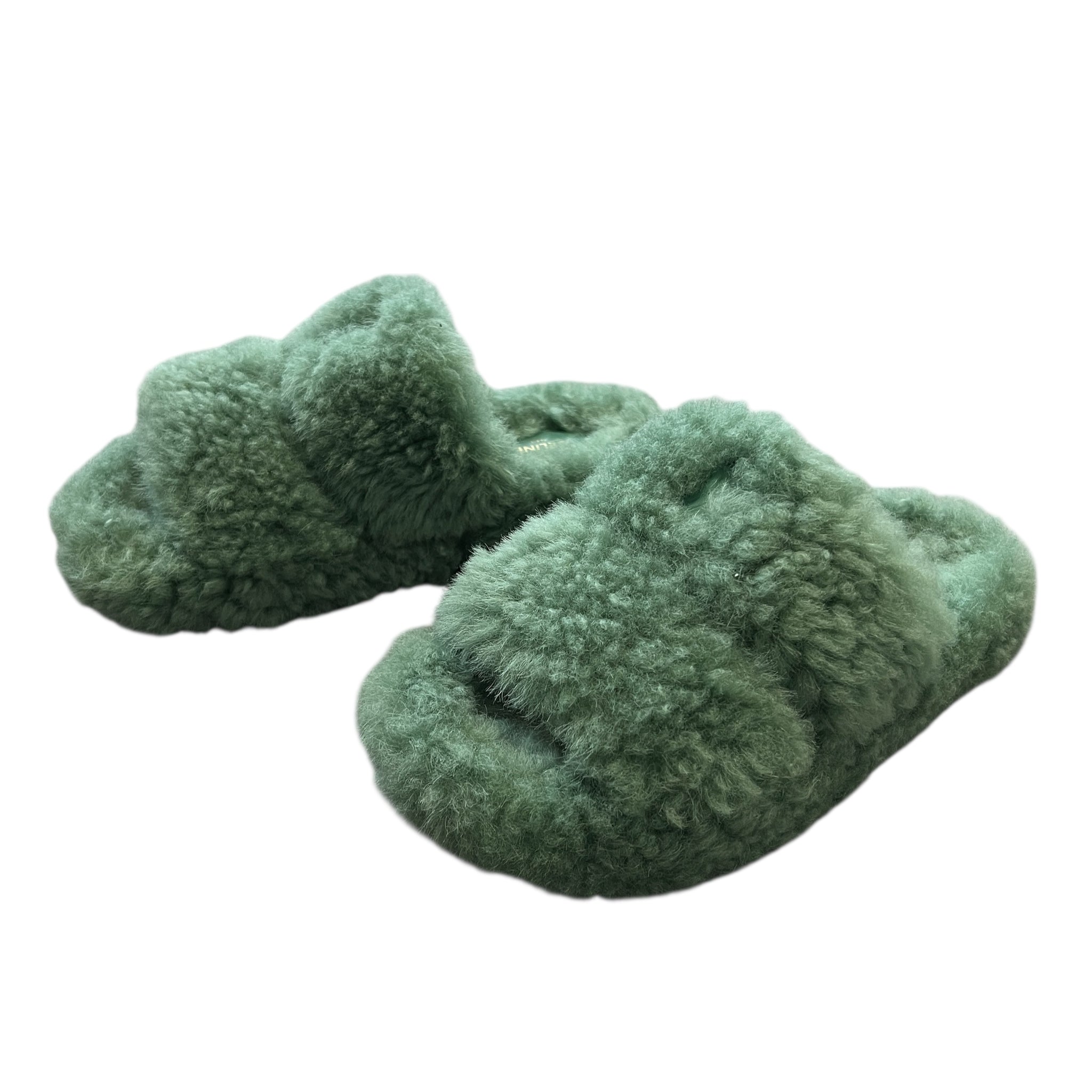 CELINE 2021SS Look7 Fur Slide Triumph Open Slide Boa Sandals Green