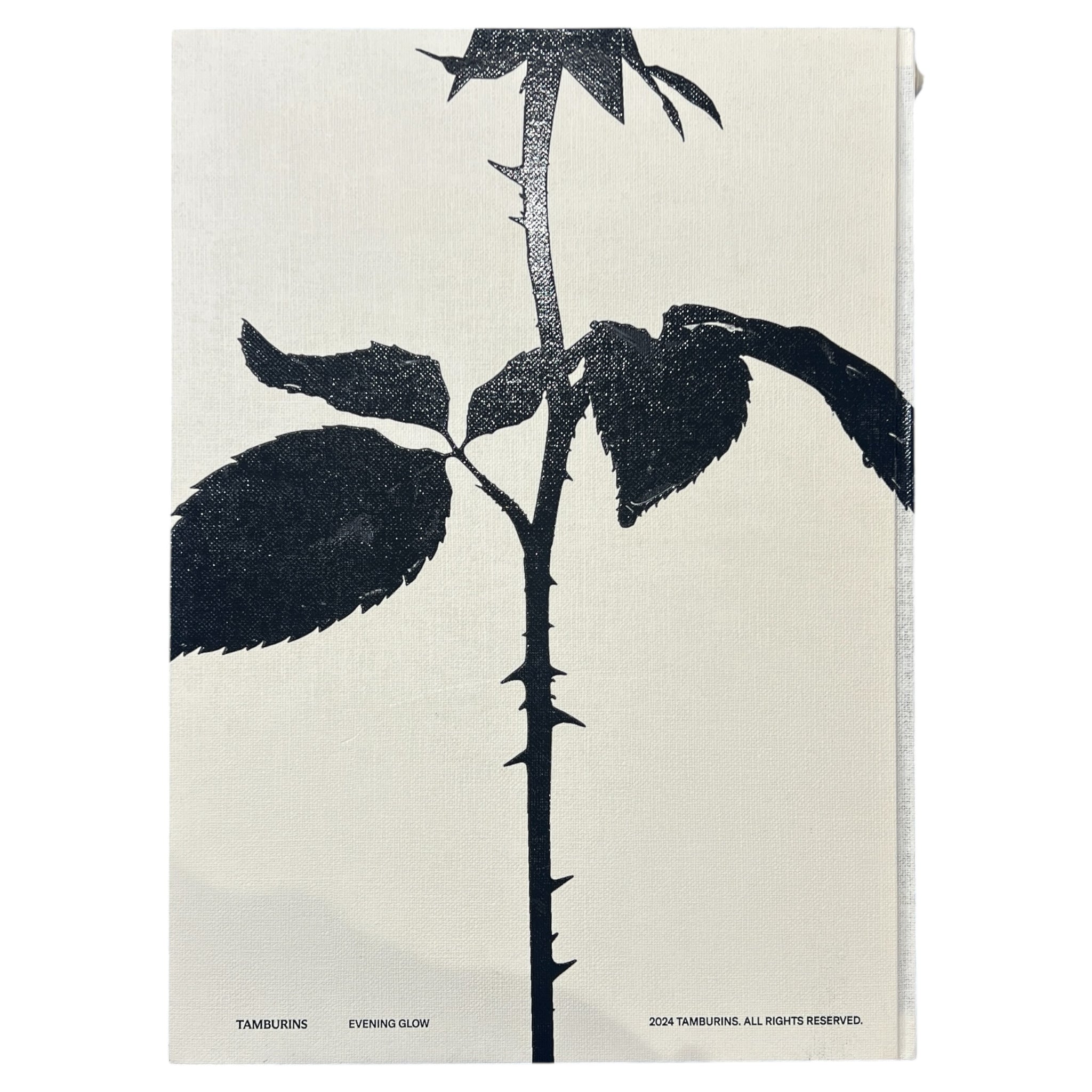 TAMBURINS 2024 EVENING GLOW Launch Art Book