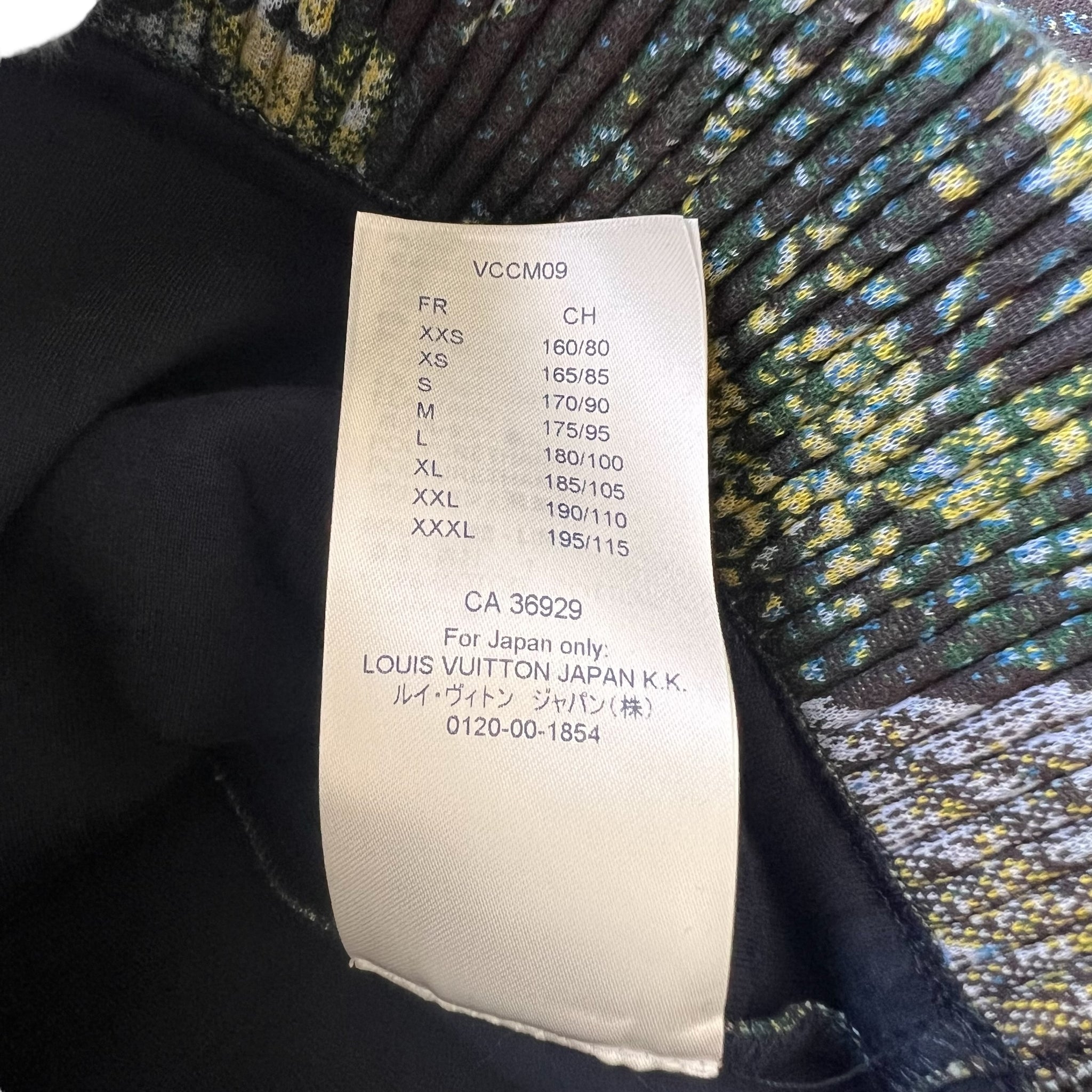 LOUIS VUITTON 20AW 3D TAPESTRY HOODIE