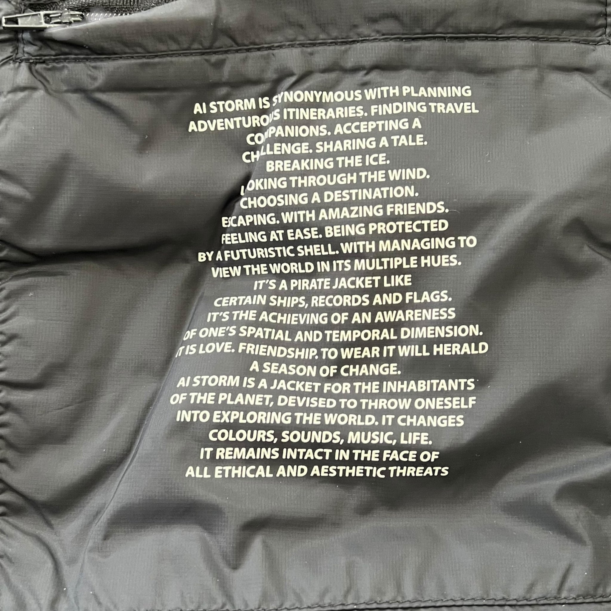 AI RIDER ON THE STORM Padded Goggle Down Jacket