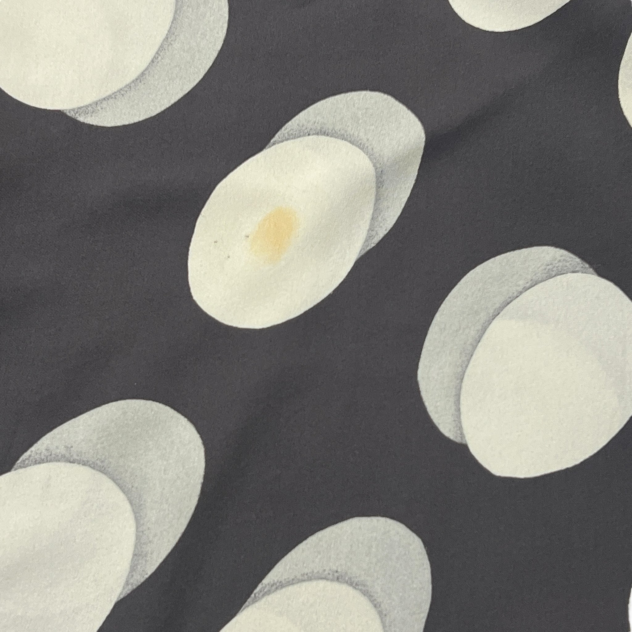 Christian Dior Polka Dots Big Scarf