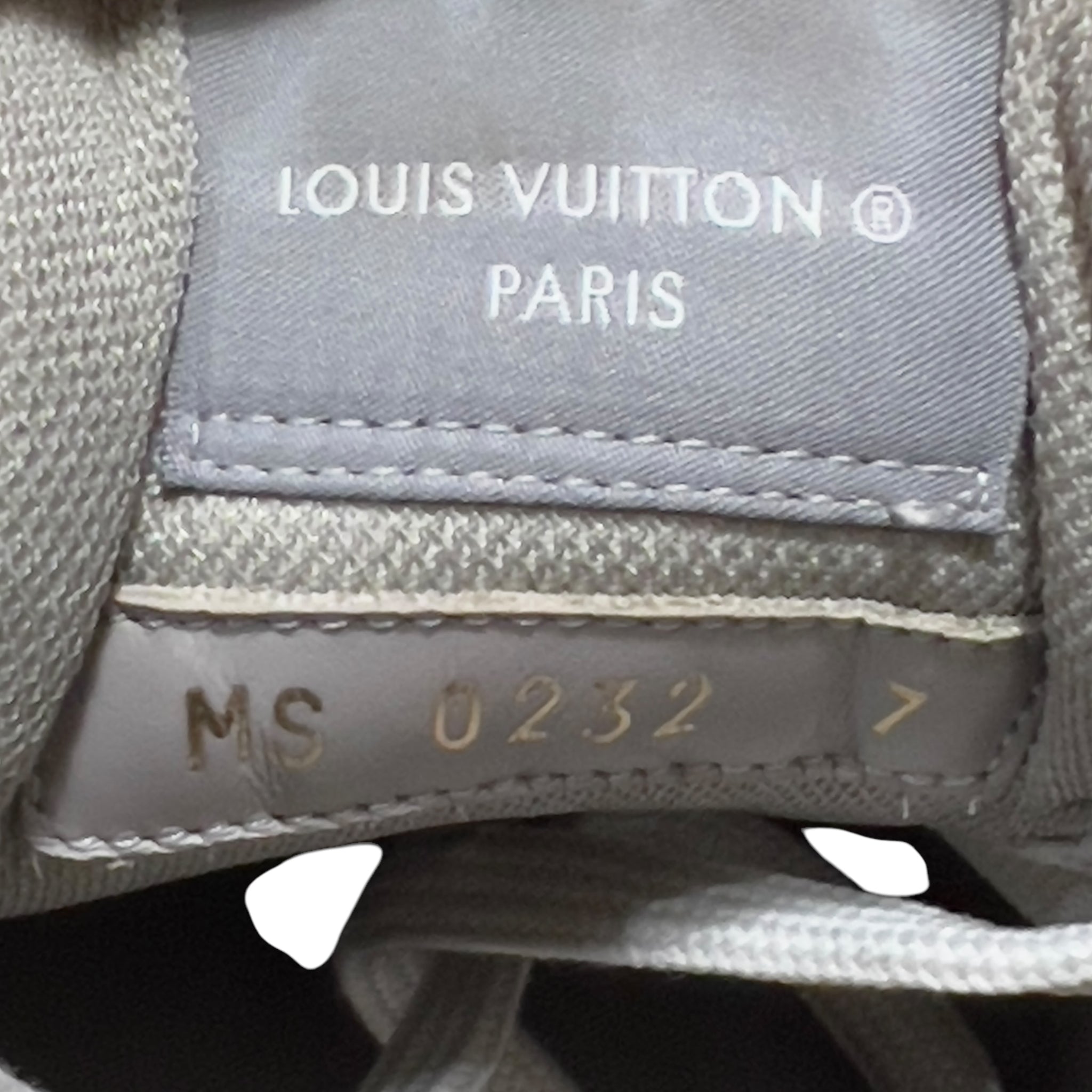 Louis Vuitton 2022 Rivoli Damier Giant Leathdr Low Sneaker