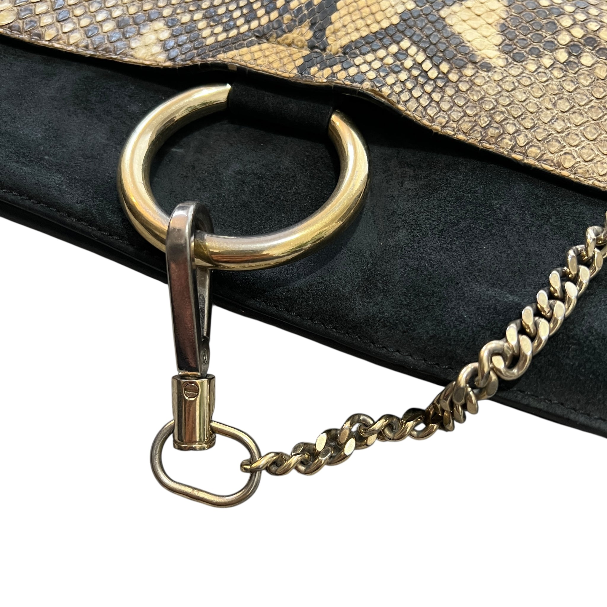 Chloe 2015FW Faye Paython Leather crossbody bag